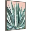 18" X 24" Laughter Succulent By Alana Clumeck Framed Canvas Wall Art Gray - Amanti Art