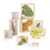 Guidecraft Clear Treasure Blocks - Set Of 8 -Home Decoration Shop GUEST 1178b693 cce6 463d b25d 3c8aace91bab