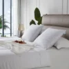20"x20" Medium Firm 2pk Decorative Feather Pillow Insert - Martha Stewart -Home Decoration Shop GUEST 12071944 985a 4668 8582 f6b3f9600704