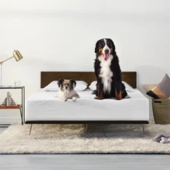 Machine Washable Waterproof Mattress Protector - Tuft & Needle 11 Machine Washable Waterproof Mattress Protector - Tuft & Needle -Home Decoration Shop GUEST 19827f0d 28d0 4c0e 9286 47ed33bcccd0