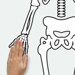 Skeleton Glow In The Dark Peel And Stick Giant Wall Decal White/Black - RoomMates -Home Decoration Shop GUEST 24866b24 0d0d 42cf 8ddc ebacee053eb2