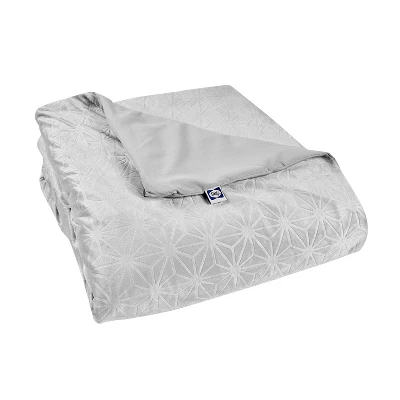 48"x72" Clean Comfort 15lbs Weighted Blanket With Removable Cover Gray - Sealy 7 48"x72" Clean Comfort 15lbs Weighted Blanket With Removable Cover Gray - Sealy - Image 5