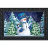 Briarwood Lane Snowfall Celebration Winter Doormat Bluebird Snowy Indoor Outdoor 30" X 18" -Home Decoration Shop GUEST 503903a2 4643 46c0 a2b6 090e2f033056