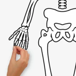 Skeleton Glow In The Dark Peel And Stick Giant Wall Decal White/Black - RoomMates -Home Decoration Shop GUEST 7d544213 da7e 41d0 a0ec e179f14a9f62