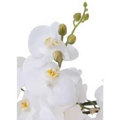 Dahlia Studios Potted Faux Artificial Flowers Realistic White Phalaenopsis Orchid In White Ceramic Pot Home Decoration 29" High -Home Decoration Shop GUEST 98aaa0f5 4fa7 480e ae80 f63be8f10a1d