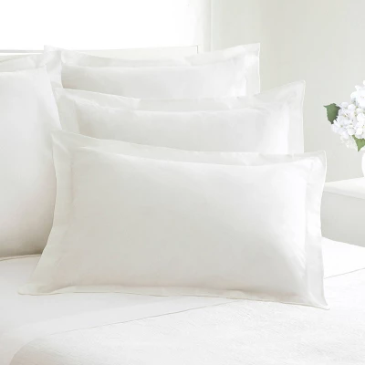 1pc 400 Thread Count Sham -Belles & Whistles 4 1pc 400 Thread Count Sham -Belles & Whistles - Image 2