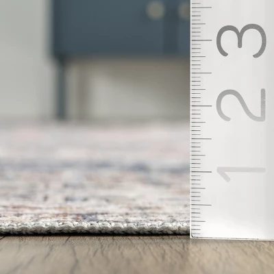 NuLOOM Drina Distressed Machine Washable Area Rug 4 NuLOOM Drina Distressed Machine Washable Area Rug - Image 2