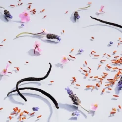 Good Chemistry™ Refillable Glass Candle And Plant-Based Candle Refill Kit Lavender And Ooh La La - 8.3 Oz -Home Decoration Shop GUEST b98ad29f 2146 4712 90e6 cc3d275897e9