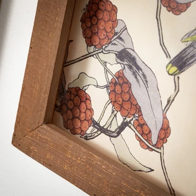 Bird Wall Art Multicolor 18"H Wood Set Of 4 2 Bird Wall Art Multicolor 18"H Wood Set Of 4