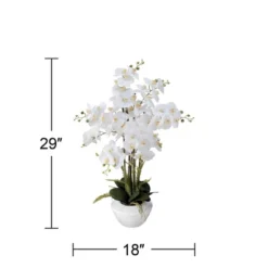 Dahlia Studios Potted Faux Artificial Flowers Realistic White Phalaenopsis Orchid In White Ceramic Pot Home Decoration 29" High -Home Decoration Shop GUEST df4c5fab 3b39 4b74 b22f eba309ee04bd